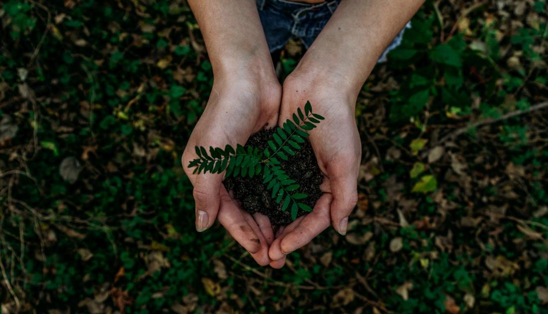 Noah buscher x8ZStuk S2PM unsplash