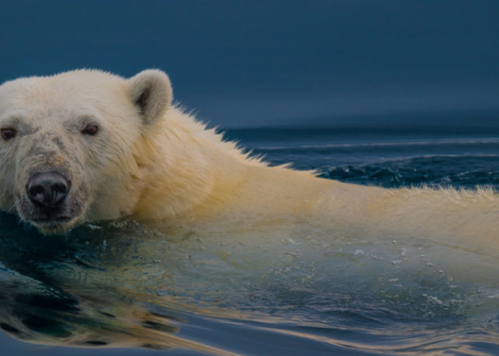 Vignette Article Hop Climat